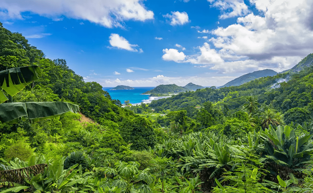 Hvar til Seychelleseyja