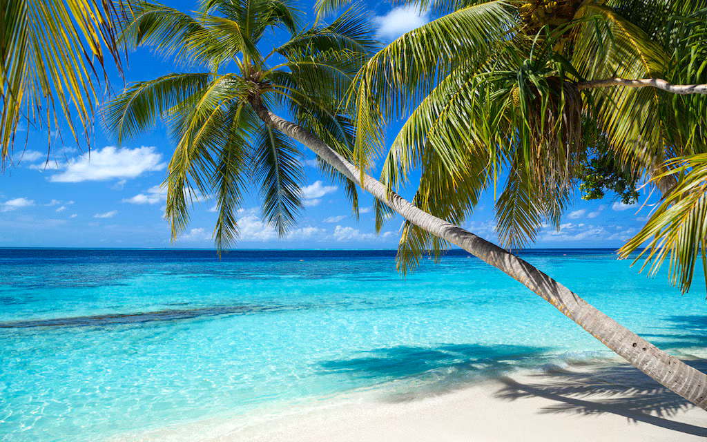 Frí á Karíbahafseyjum