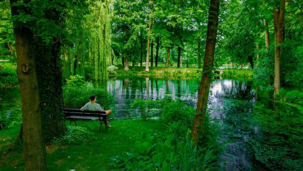 Hótel Manor House Park