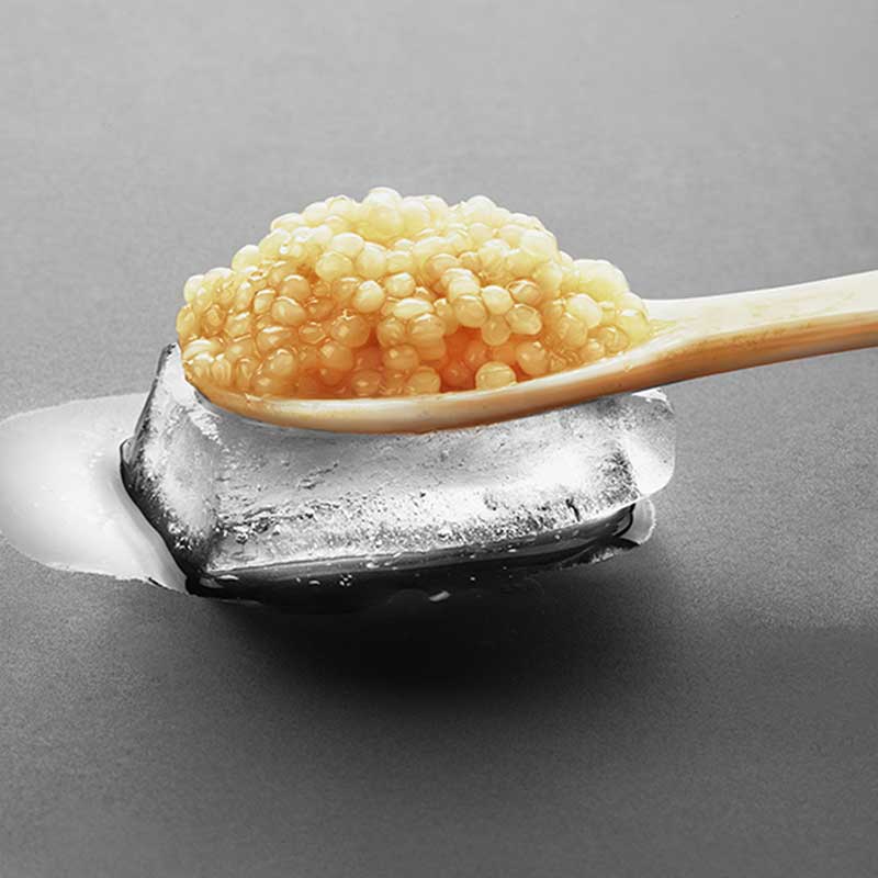 Hvað er Kest Kawior