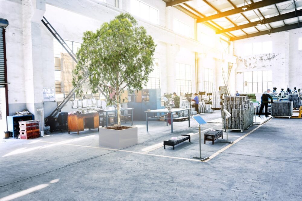 Hvernig á að stöðugleika plöntur