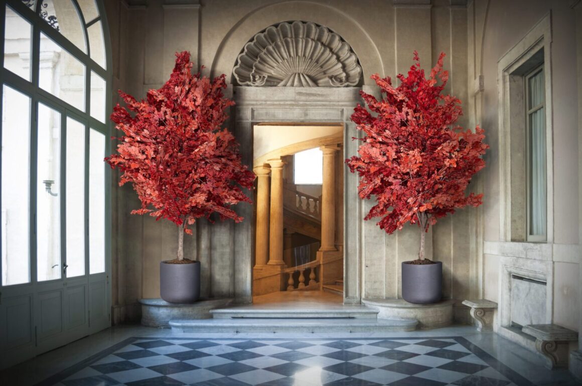 Hvað felst í stöðugleika plantna