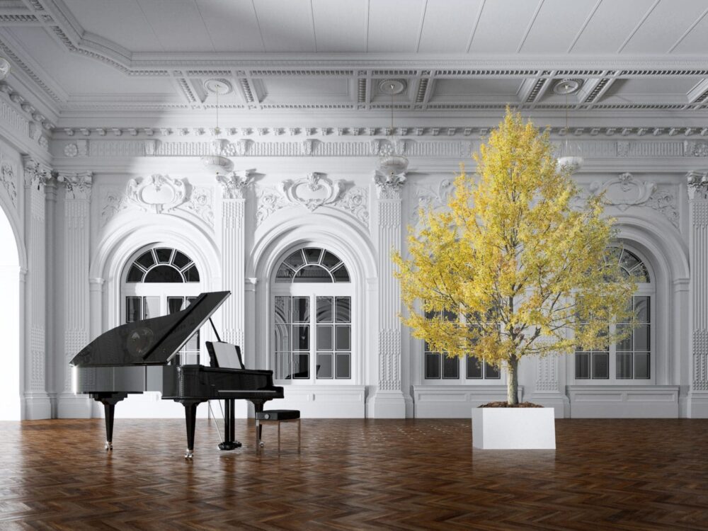 Stöðugleiddar plöntur