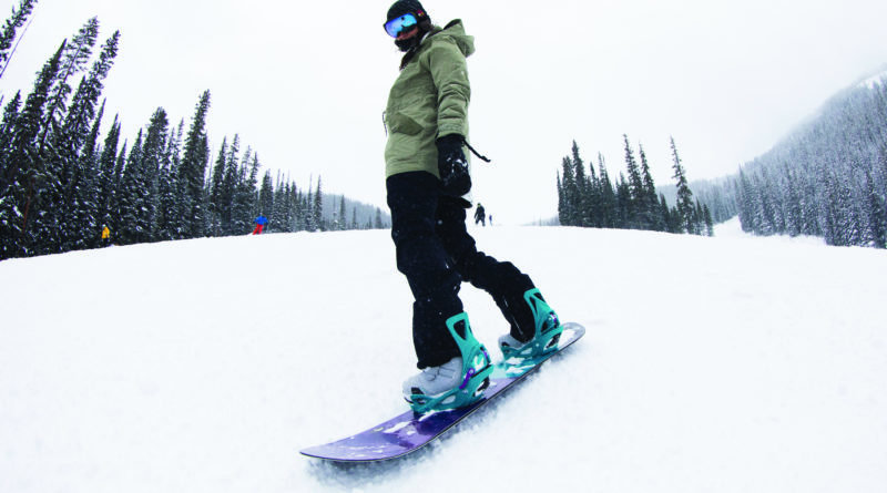 Snjóbrettaborð Verð