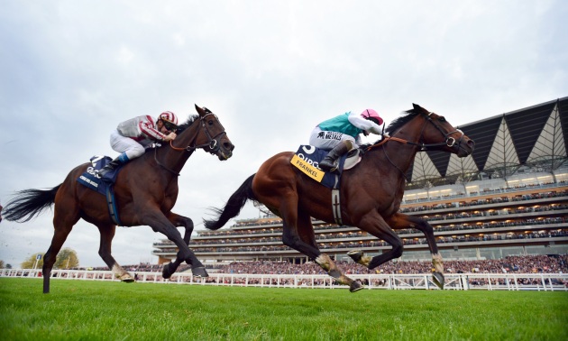 Frankel vinnur gegn Cirrus Des Aigles 20 10 12 Mynd Bill Selwyn