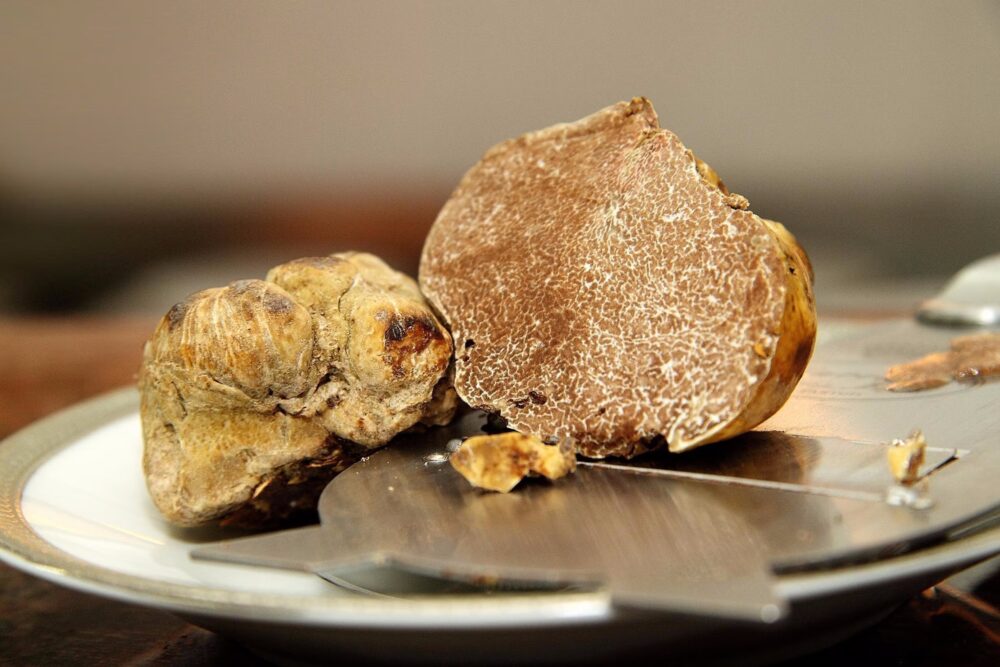 Hvað Kosta Dýrustu Trufflurnar