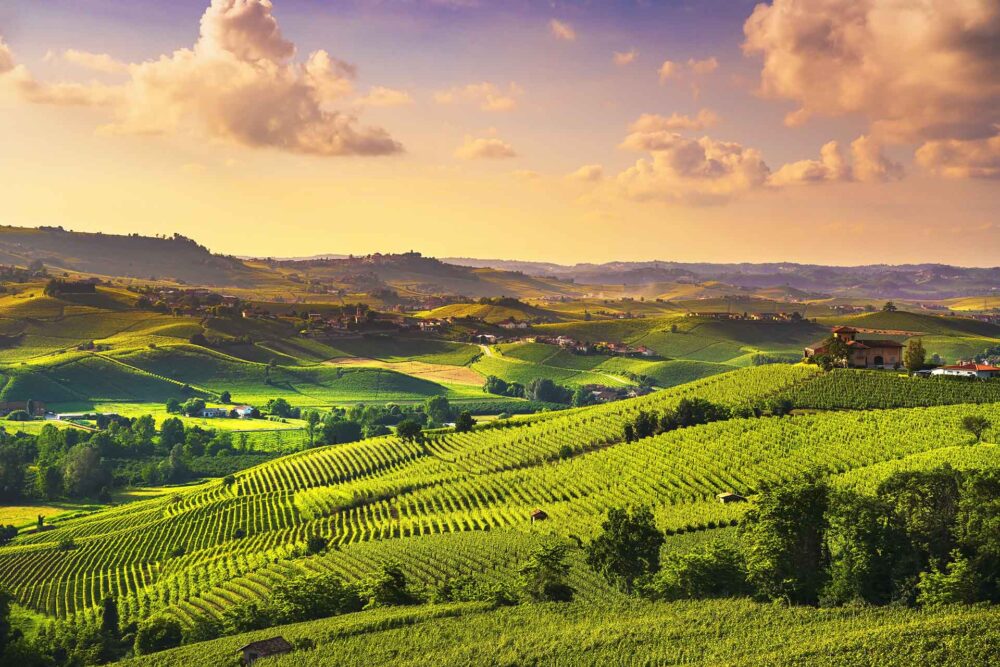 Langhe vínekranna sólseturspanorama, Barolo, Piemonte, Ítalía Evrópa